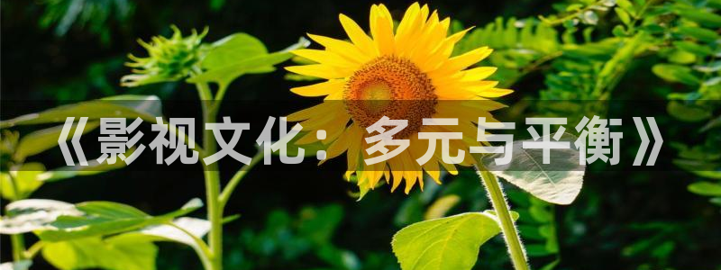 人人从众影视公司：《影视文化：多元与平衡》