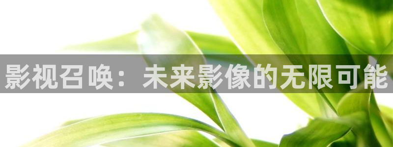 人人干人人拍在线视频：影视召唤：未来影像的无限可能