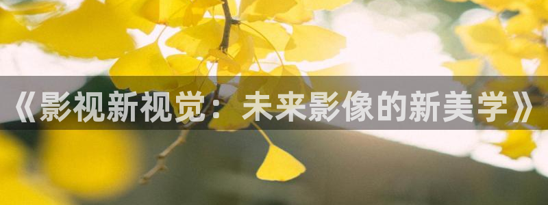 人人超碰在线观看：《影视新视觉：未来影像的新美学》