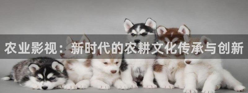 久久精品人人做人人爽电影蜜月：农业影视：新时代的农耕文化传承与创新