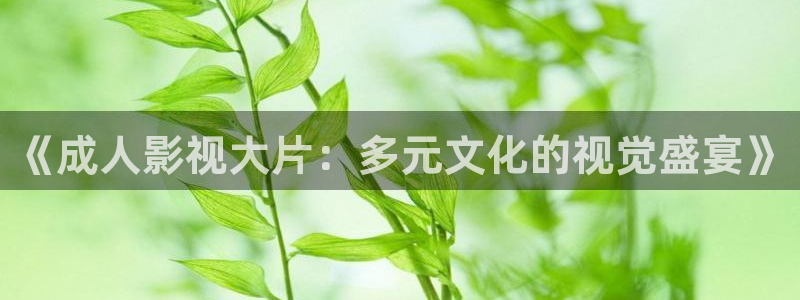 免费mv大片人人电影播放器网址：《成人影视大片：多元文化的视觉盛宴》