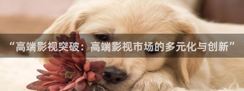 51电影网人人：“高端影视突破：高端影视市场的多元化与创新”