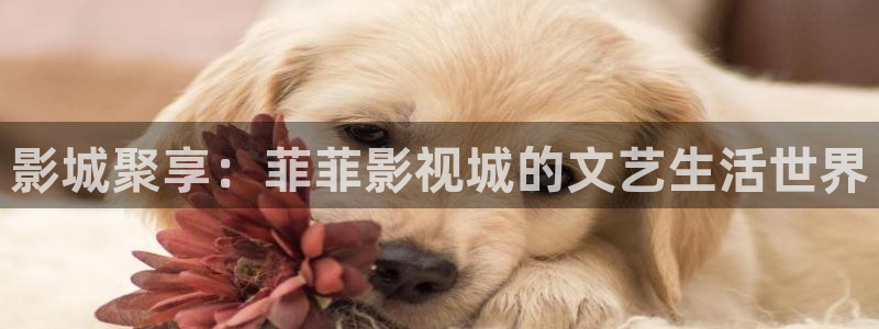 97超碰人人插：影城聚享：菲菲影视城的文艺生活世界