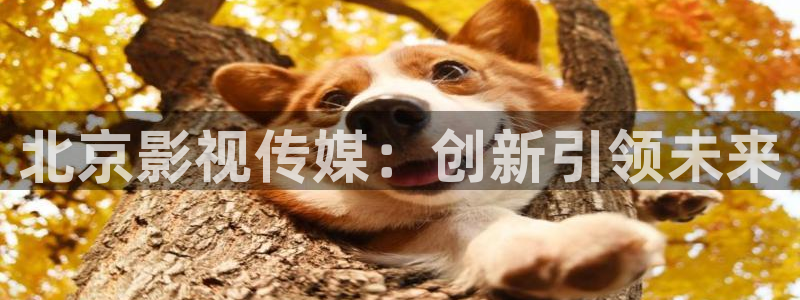 人人在线影视入口：北京影视传媒：创新引领未来