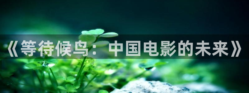 人人电影软件下载：《等待候鸟：中国电影的未来》
