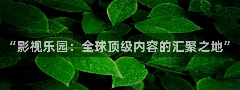 久久人人爽人人片浪潮a：“影视乐园：全球顶级内容的汇聚之地”
